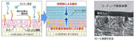 良質な樹脂含浸層と一体化した丈夫で薄い被膜の形成が可能